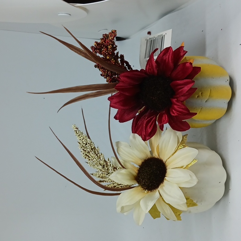 Fall decor bundle - Picture 4 of 5